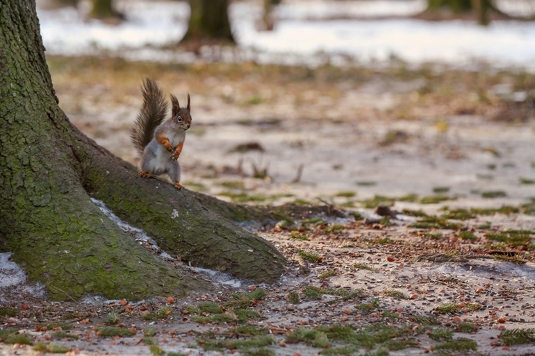 Д/З - Эпизод второй. Композиция. Правило третей