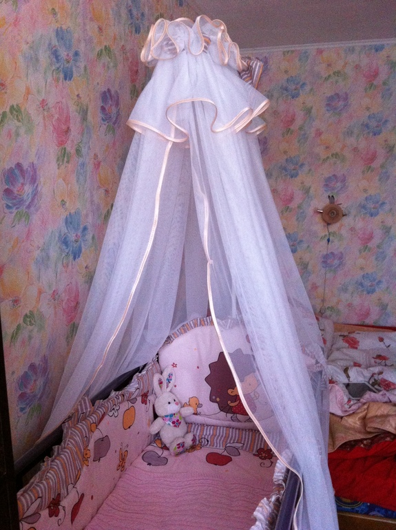 Стартанула сороковая! (фото)