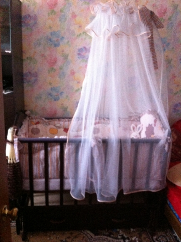 Стартанула сороковая! (фото)