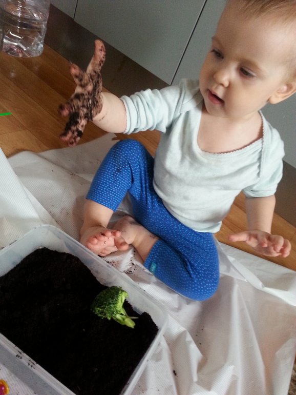 ФМ "Овощи для малышей"-день 1 огородный