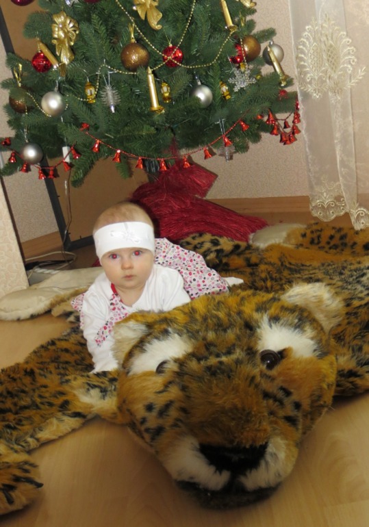 К Новому Году готовы))))