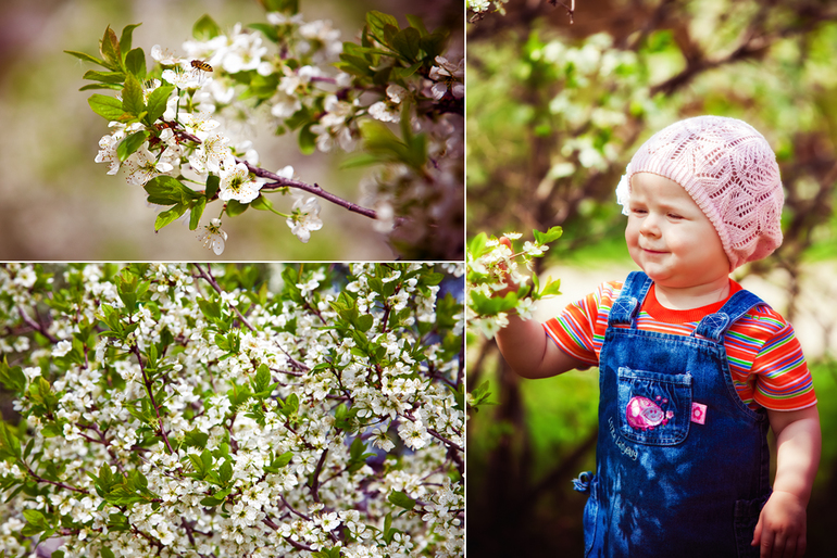 Фотосессии в парках Москвы с 1 -ого по 10-ое мая