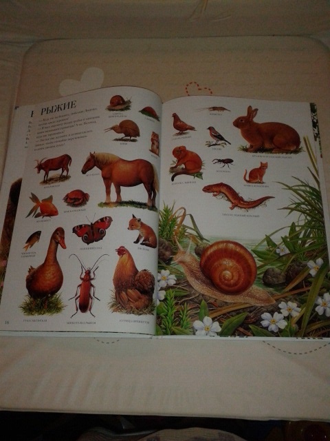 Наши книги, может кому пригодится