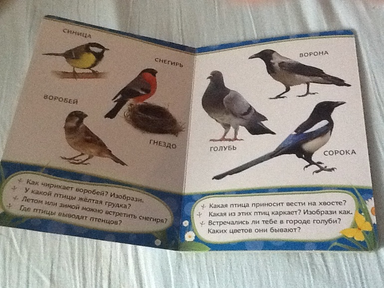 Наша библиотека (часть1)