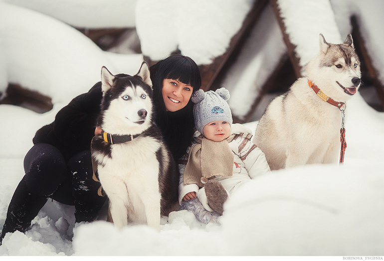 Зимняя прогулка с хасками:)))