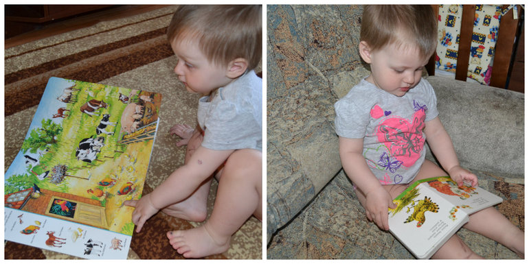 ТЗ Курица, петух, цыпленок