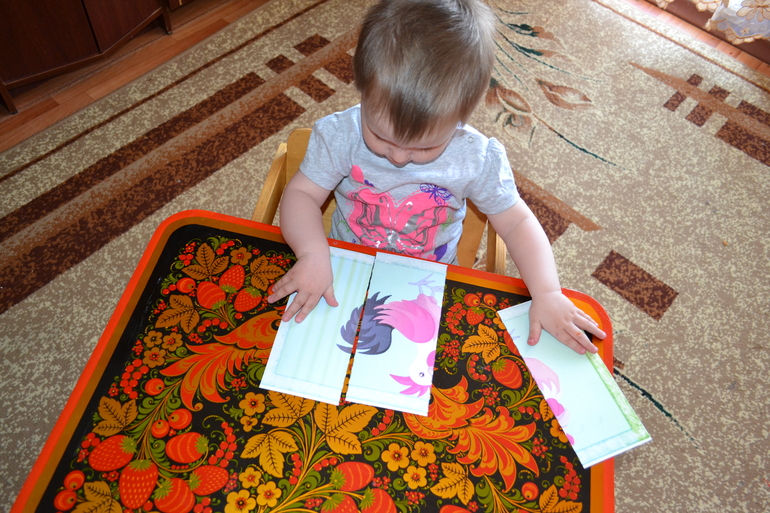 ТЗ Курица, петух, цыпленок