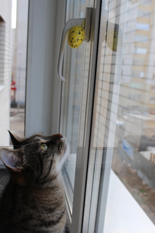 Готовы к Пасхе!