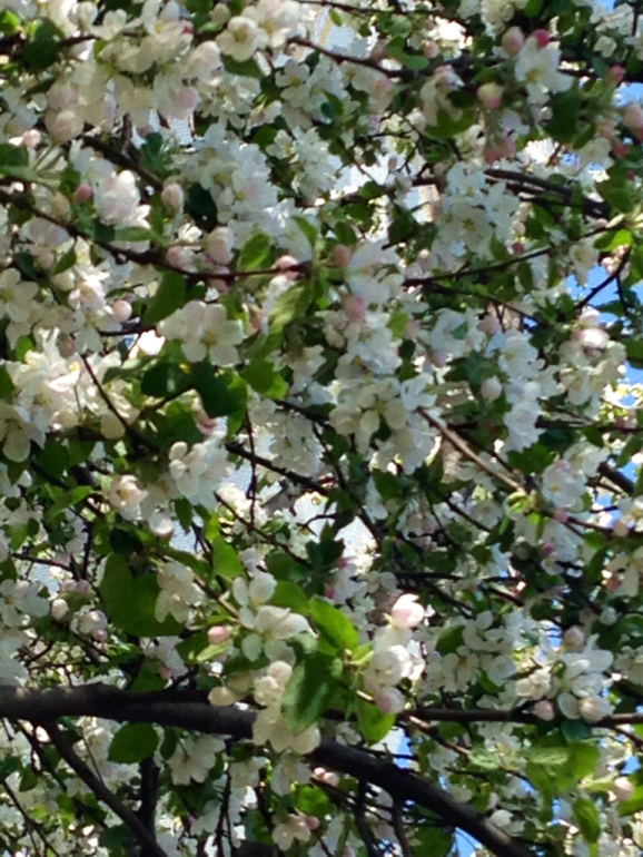 Наше 9Мая!!!!