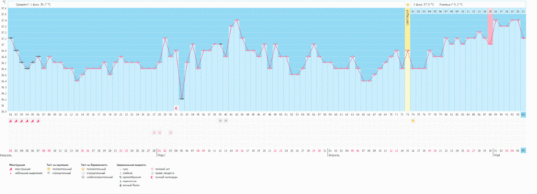 Беременный график