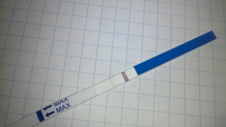 Сбылась заветная мечта!!!!!