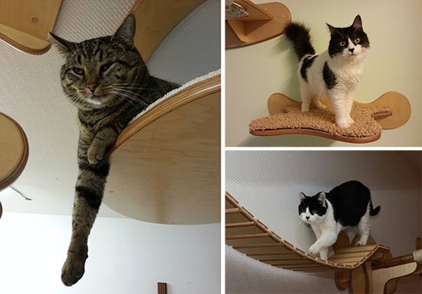 Мебель для кошки