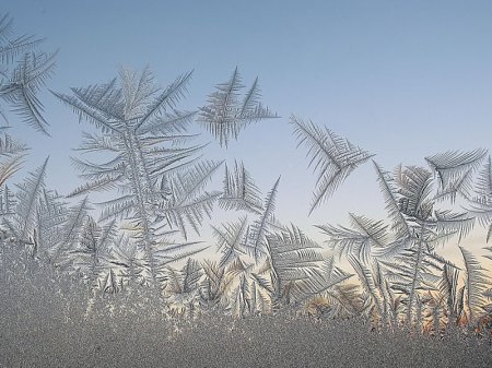 Морозный узор на окне