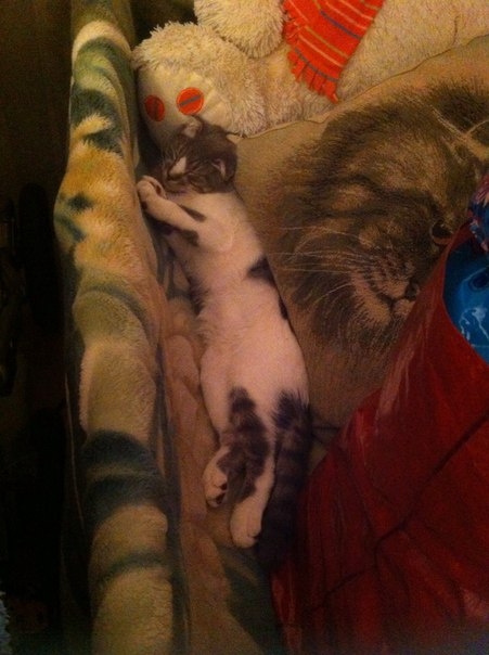 Наш смертник начал сбрасывать гранаты