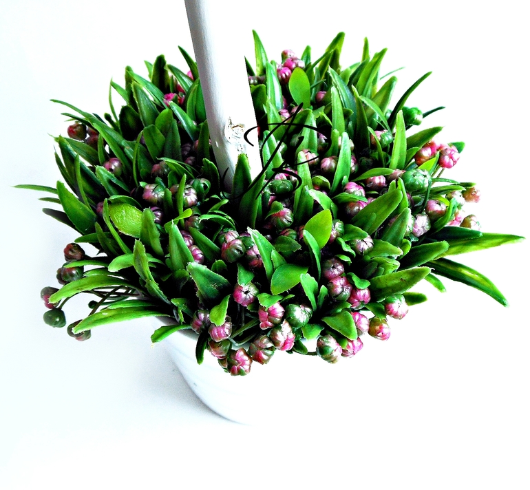 Новенький топиарий