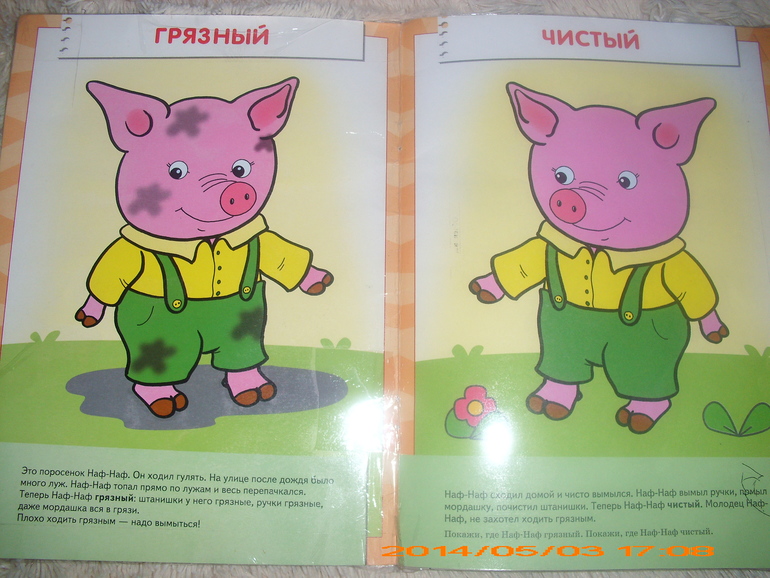 Домашние животные.( Нам год и пять месяцев)