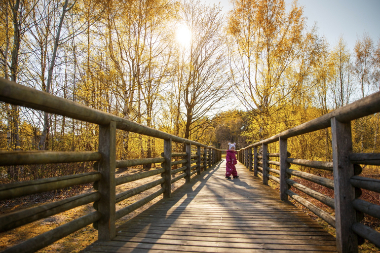 Несколько фотографий из нашего путешествия по Эстонии