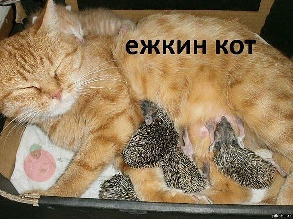 Всем хорошего настроения))