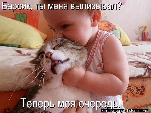 Коты и Карапузы :)