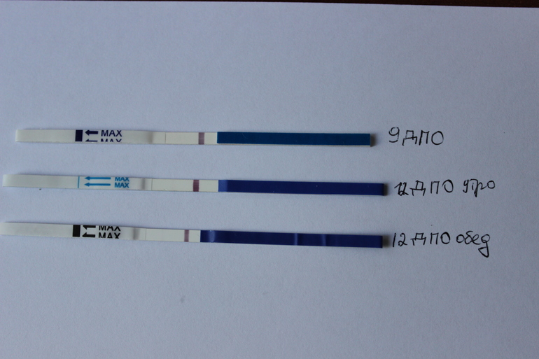 Здравствуйте.