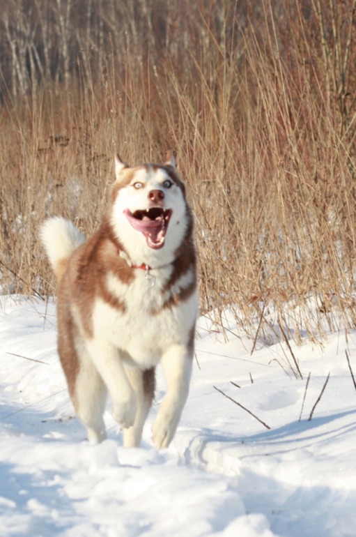 Счастье в малом