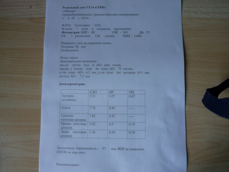 УЗИ в 37 недель