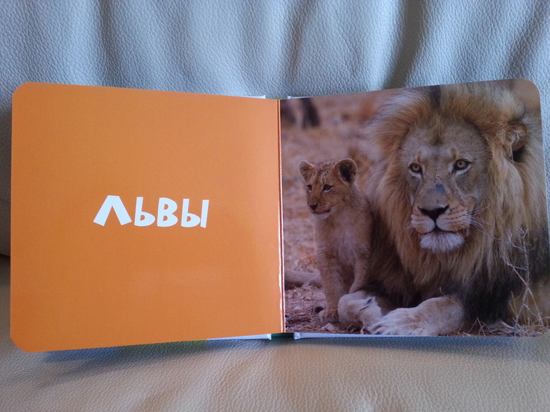 Воз и маленькая тележка. Часть 2.