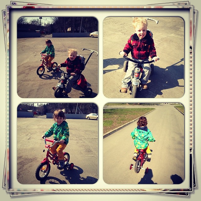 Сокольники, прогулка