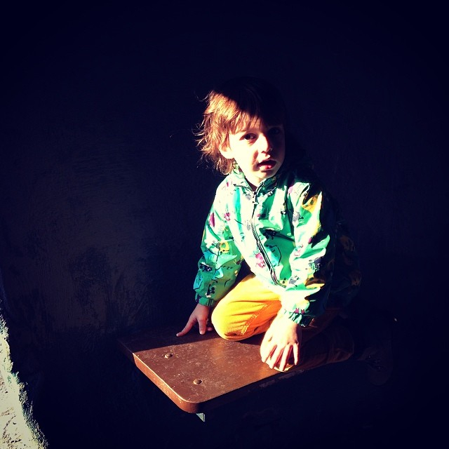 Сокольники, прогулка