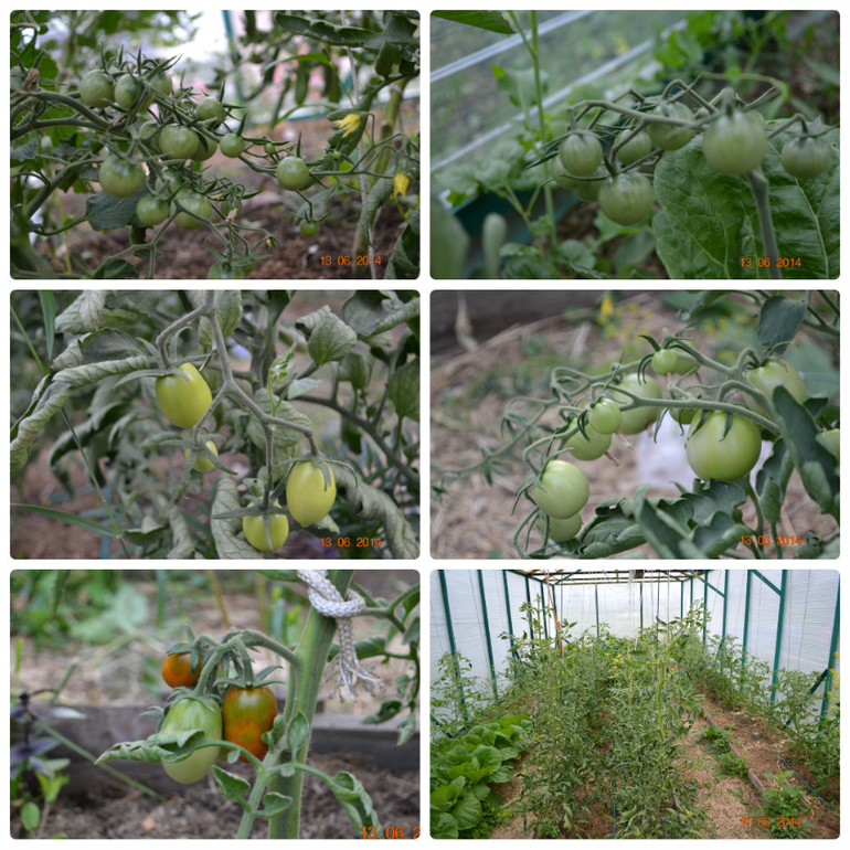 Хвалюшечки