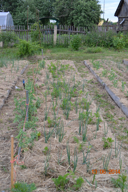 Хвалюшечки