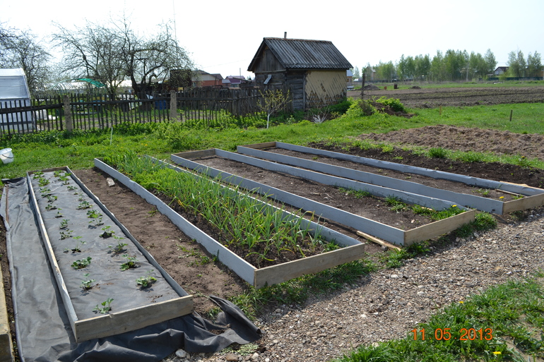 садово-огородный марафон день 1