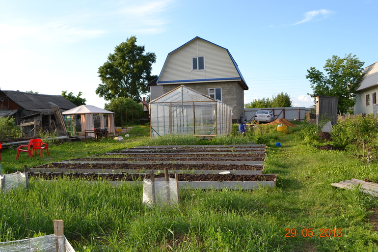 садово-огородный марафон день 9
