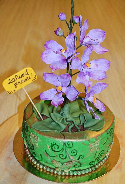 ПОЛГОДА ЗДЕСЬ!!!