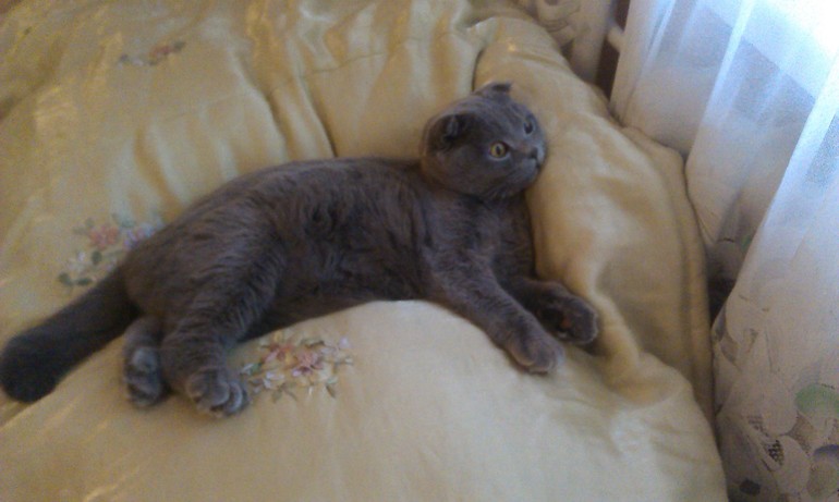 Ещё немного нашего Венченсоо!!!