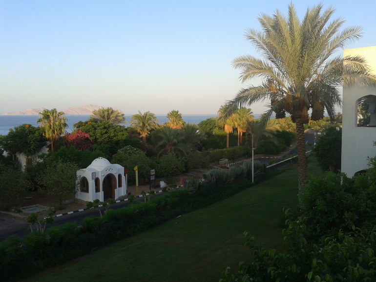 Domina Coral Bay Garem 5*