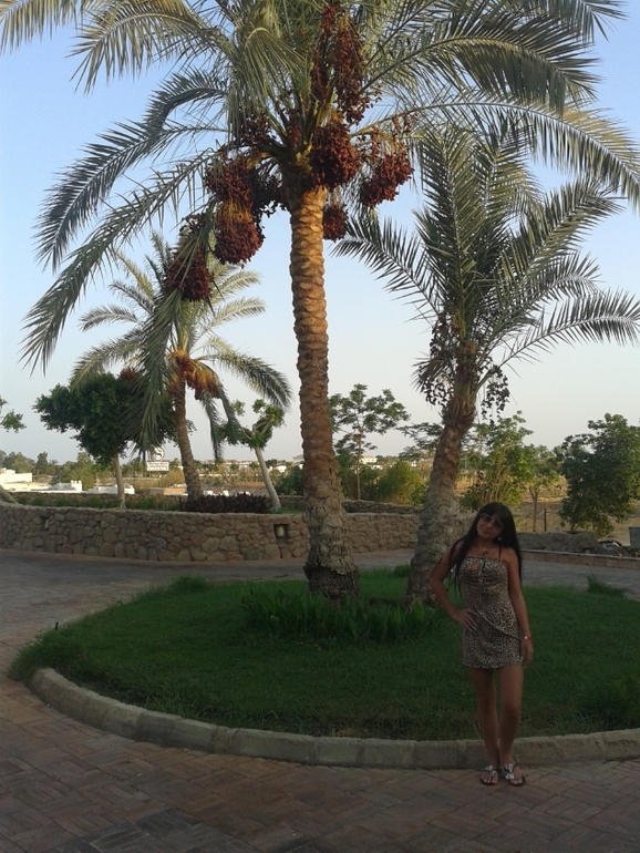 Domina Coral Bay Garem 5*