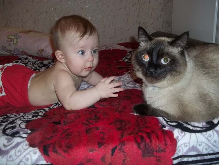 Тася и кот)