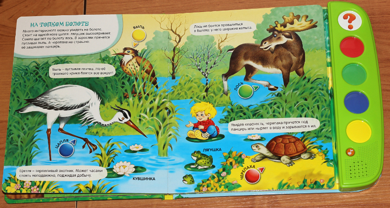 Наши любимые игрушки (очень очень много фото)