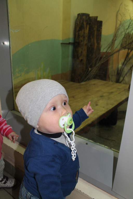 Двойняшки в зоопарке)))