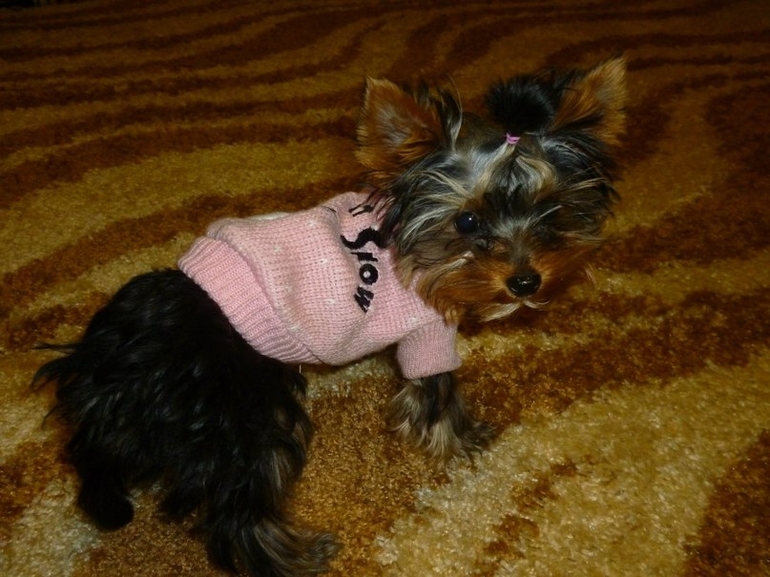 Это наш Марсюша)