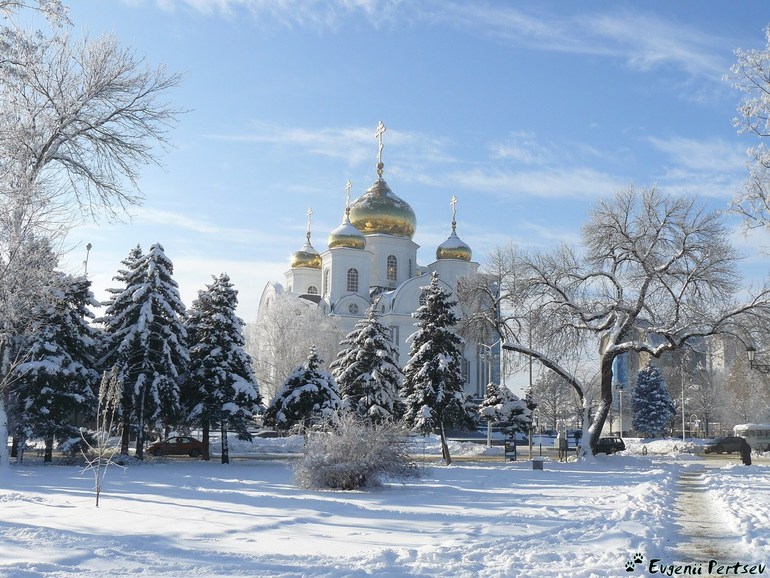 Впереди год полный хлопот...