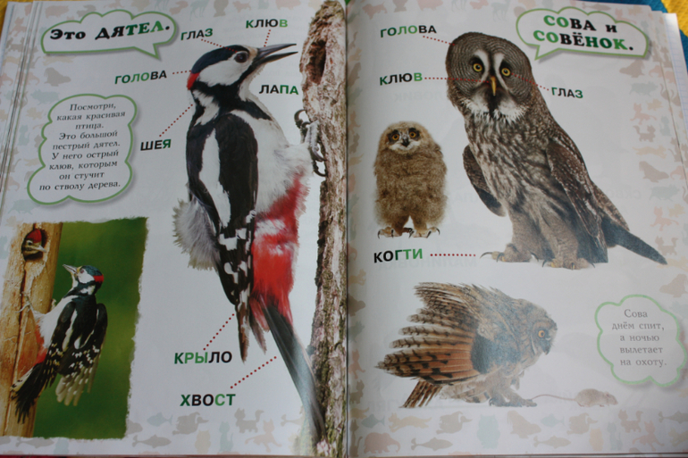 Наша библиотечка от 1 до 2