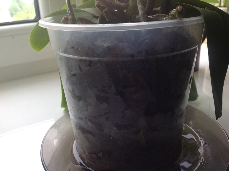 Знающие подскажите пожалуйста.