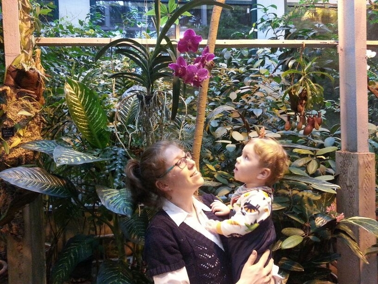 экзотическая зима г. Москва Ботанический сад МГУ