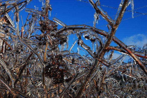 То что твориться за окном)