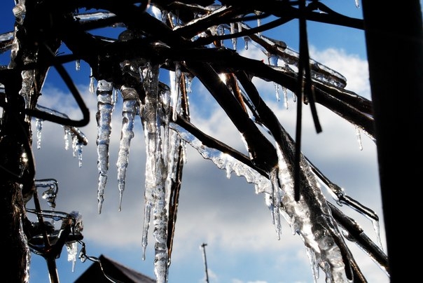 То что твориться за окном)