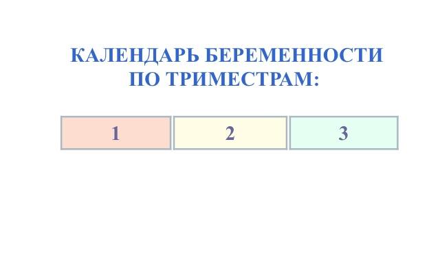 Третий триместр...неужели???)