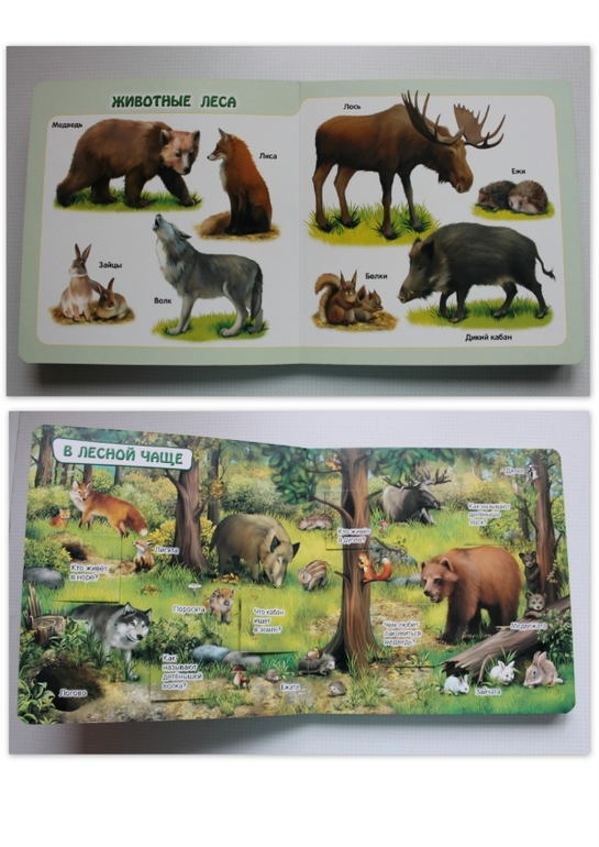 Наши новые КнигоПокупки.