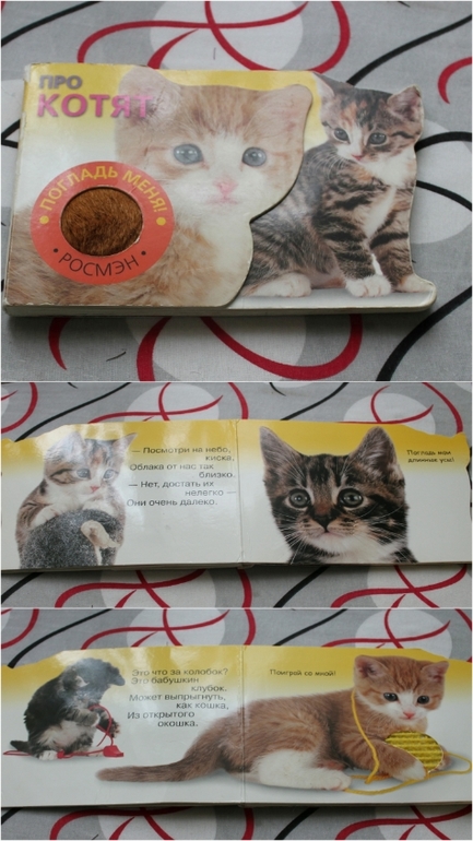 ТН Курочка Ряба. День первый.